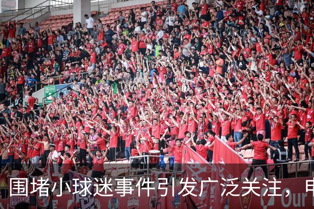 围堵小球迷事件引发广泛关注，申花球迷组织暂停助威